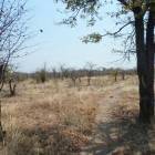 8.83 hectare commercial vacant land for sale in Livingstone