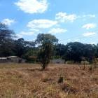 6Ha Small Holding For Sale in Baluba