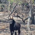 4,047m&sup2; Vacant Land For Sale in Chongwe Central