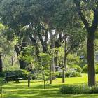 55Ha Farm For Sale in Chisamba Central