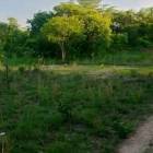 80 HECTARES (197 ACRES) FARM FOR SALE IN KATOBA AREA, MIKANGO, LUSAKA