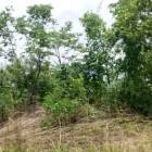 5 HECTARES (12 ACRES) IN KATOBA, MIKANGO, LUSAKA
